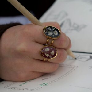 Anillo Jardín