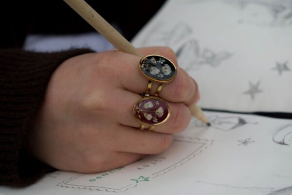Anillo Jardín
