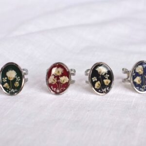 Anillo Jardín: imagen 4
