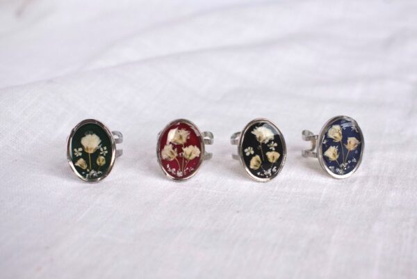 Anillo Jardín