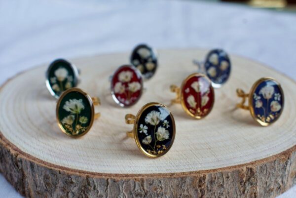 Anillo Jardín
